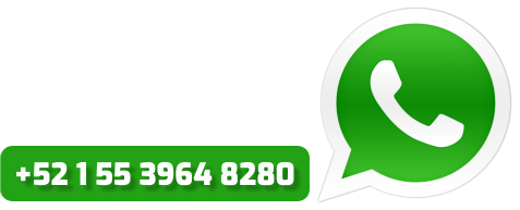 +52 1 55 3964 8280