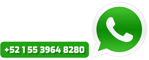 +52 1 55 3964 8280