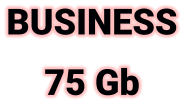 BUSINESS 75 Gb