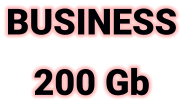 BUSINESS 200 Gb