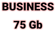 BUSINESS 75 Gb