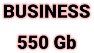 BUSINESS 550 Gb