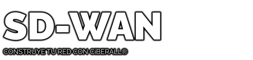 SD-WAN CONSTRUYE TU RED CON CiBERALL®