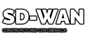 SD-WAN CONSTRUYE TU RED CON CiBERALL®